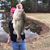 Tristan Friesner's profile image