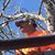 Matt Silkey's profile image