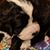 Debbie Fogelberg Wallace's profile image