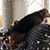 Helen Wichert MacDonald's profile image