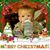 Joy Fessler's profile image