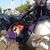 Jessica K Lunsford's profile image