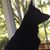 Linda Glorioso's profile image
