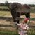 Elisha Trombley's profile image