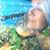Shevawn O'Neill Cobb's profile image