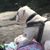 Sandy Brasher's profile image