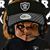 Raider Robbie's profile image