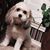 Cindy Carter Mills's profile image