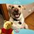 Cathy Nale's profile image