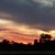 Rhonda J Burge's profile image