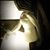 Autumn Witner's profile image