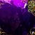 Kyle Ann Dawson's profile image