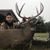 Brandon Tausk's profile image