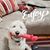 Holly Bebout-Taulbee's profile image