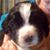 Lise Brickwell Hoffman's profile image