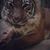 Panagiotis Athanasopoulos's profile image
