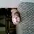 Tammie Rodriguez-Wilcher's profile image