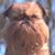 David Wagner's profile image