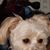 Beth Jacobs's profile image