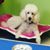 SteveandDonna Huggins's profile image
