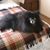 Tammy Boyd's profile image