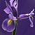 Stephanie Sinlock's profile image