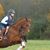 Dawn Mihalow Tomei's profile image