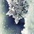 Martha Engelby's profile image