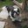 Margaret Wethey's profile image