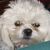Sandra J. Ream-Albert's profile image