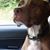 Kelly Jackson's profile image