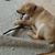 Shelley Hacek's profile image