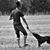 Indio Ortiz's profile image