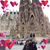 Virginia M. Lozada's profile image