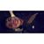Jose Prada's profile image