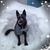 Val Murphy's profile image