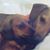 Valerie Thomason's profile image