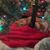 Darlene Piotrowski's profile image