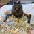 Justin Barhite's profile image