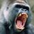John Harrington's profile image