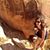 Amy Fleshman's profile image