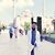 Mansoor Alam's profile image