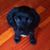 Marilyn Quinn's profile image