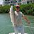 Michael Jacobs's profile image