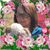 Denise Dozier Tutas's profile image
