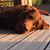 Benoit Jeanne's profile image