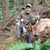 Tyson Johnson's profile image