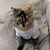 Rosio Mena's profile image