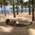 Melad Thomas's profile image