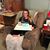 Karen Sparks's profile image